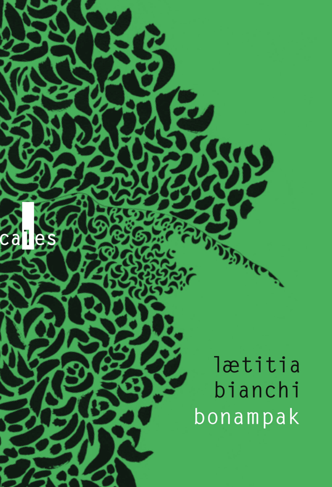 Bonampak de Laeticia Bianchi